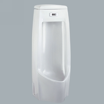 Tiểu nam cảm ứng 